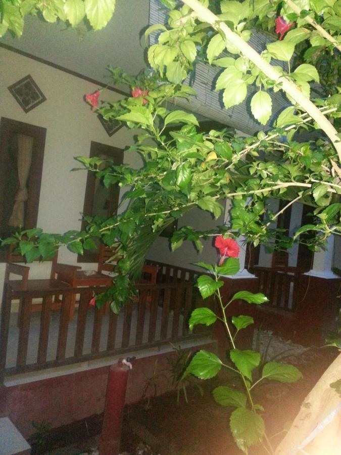 Family Bungalow Gili Meno Exterior foto